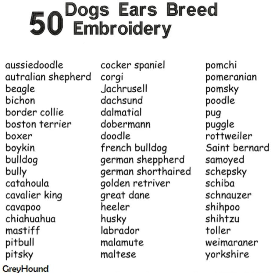 DOG EARS Sweatshirt Personalized